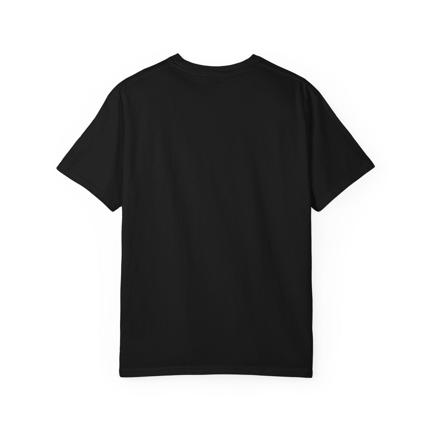Passenger Princess Crown T-Shirt – Cute Trendy Graphic Tee for Road Trips & Soft Life Girls