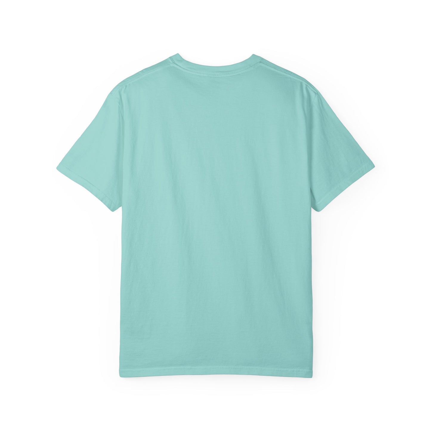 Passenger Princess Crown T-Shirt – Cute Trendy Graphic Tee for Road Trips & Soft Life Girls