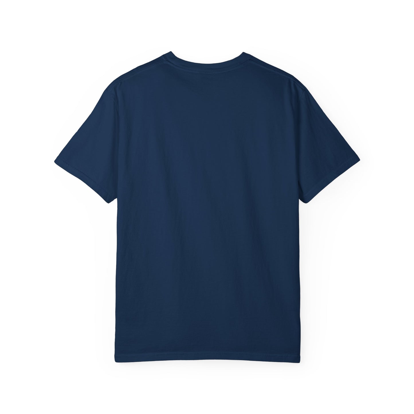 Passenger Princess Crown T-Shirt – Cute Trendy Graphic Tee for Road Trips & Soft Life Girls