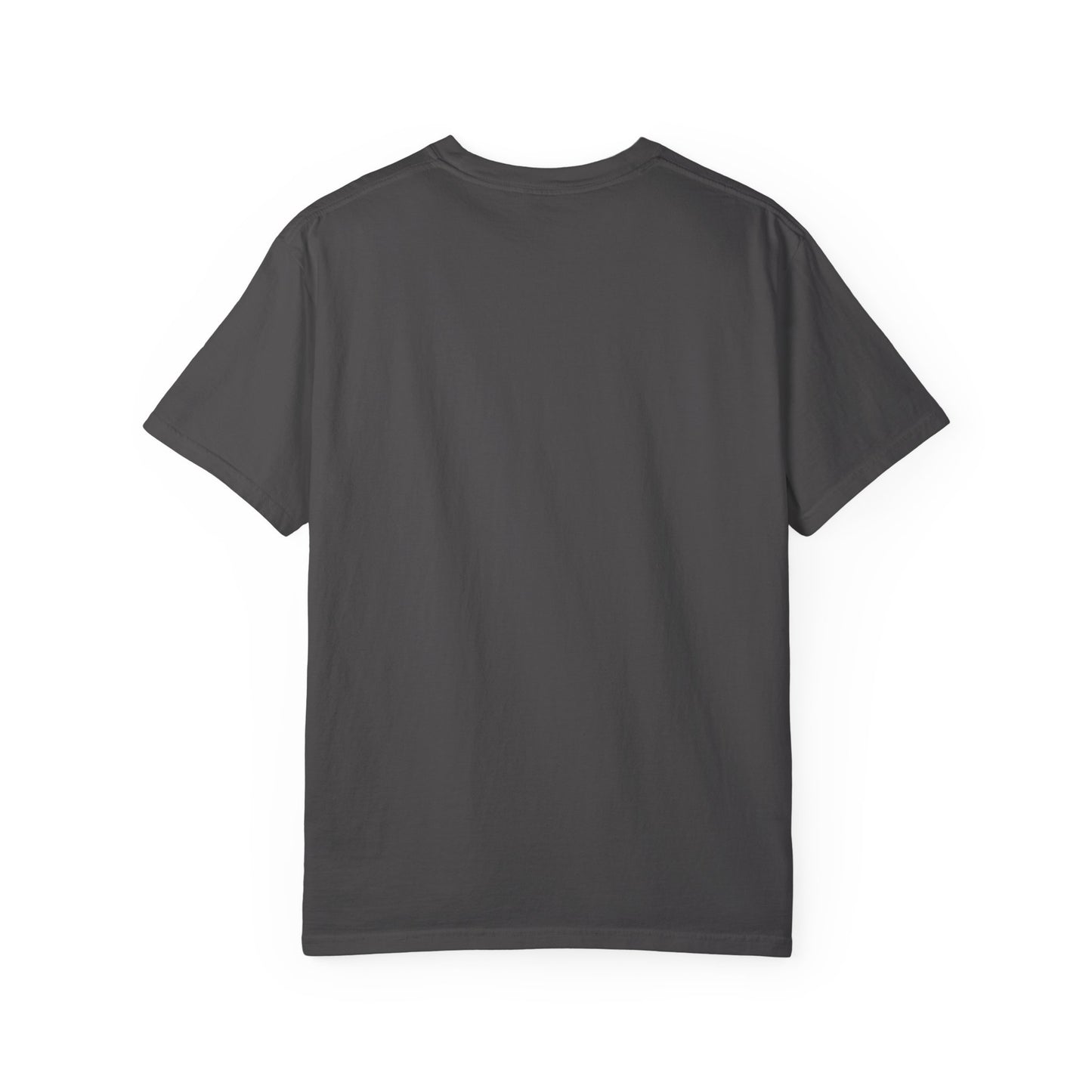 Passenger Princess Crown T-Shirt – Cute Trendy Graphic Tee for Road Trips & Soft Life Girls