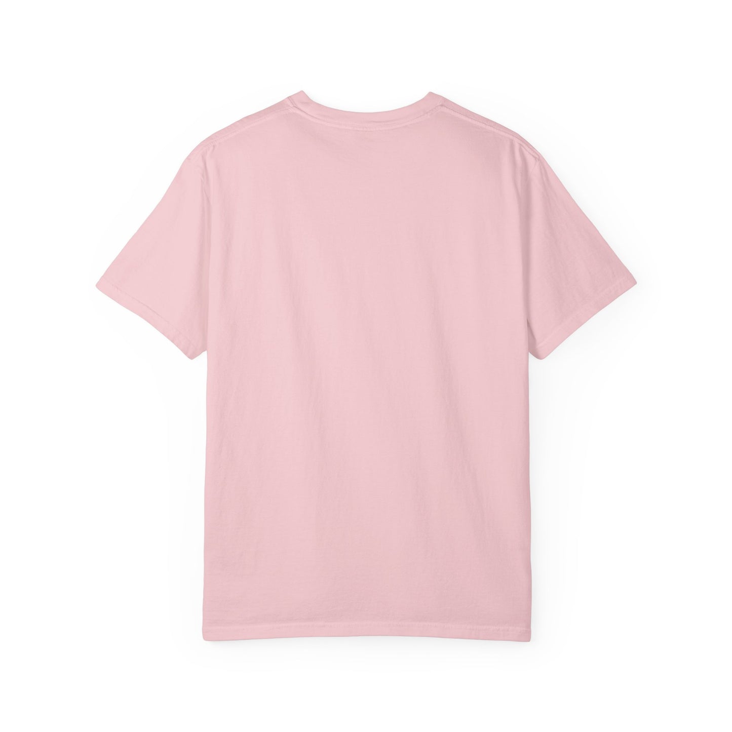 Passenger Princess Crown T-Shirt – Cute Trendy Graphic Tee for Road Trips & Soft Life Girls