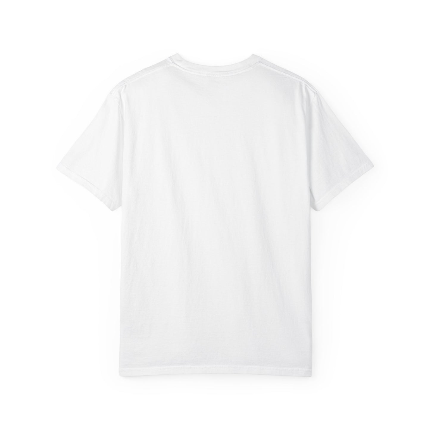 Passenger Princess Crown T-Shirt – Cute Trendy Graphic Tee for Road Trips & Soft Life Girls