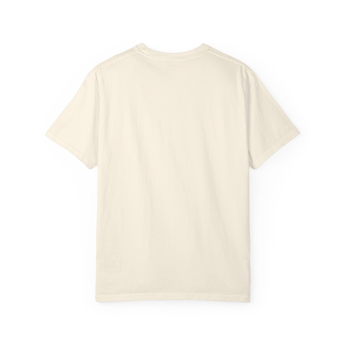 Passenger Princess Crown T-Shirt – Cute Trendy Graphic Tee for Road Trips & Soft Life Girls